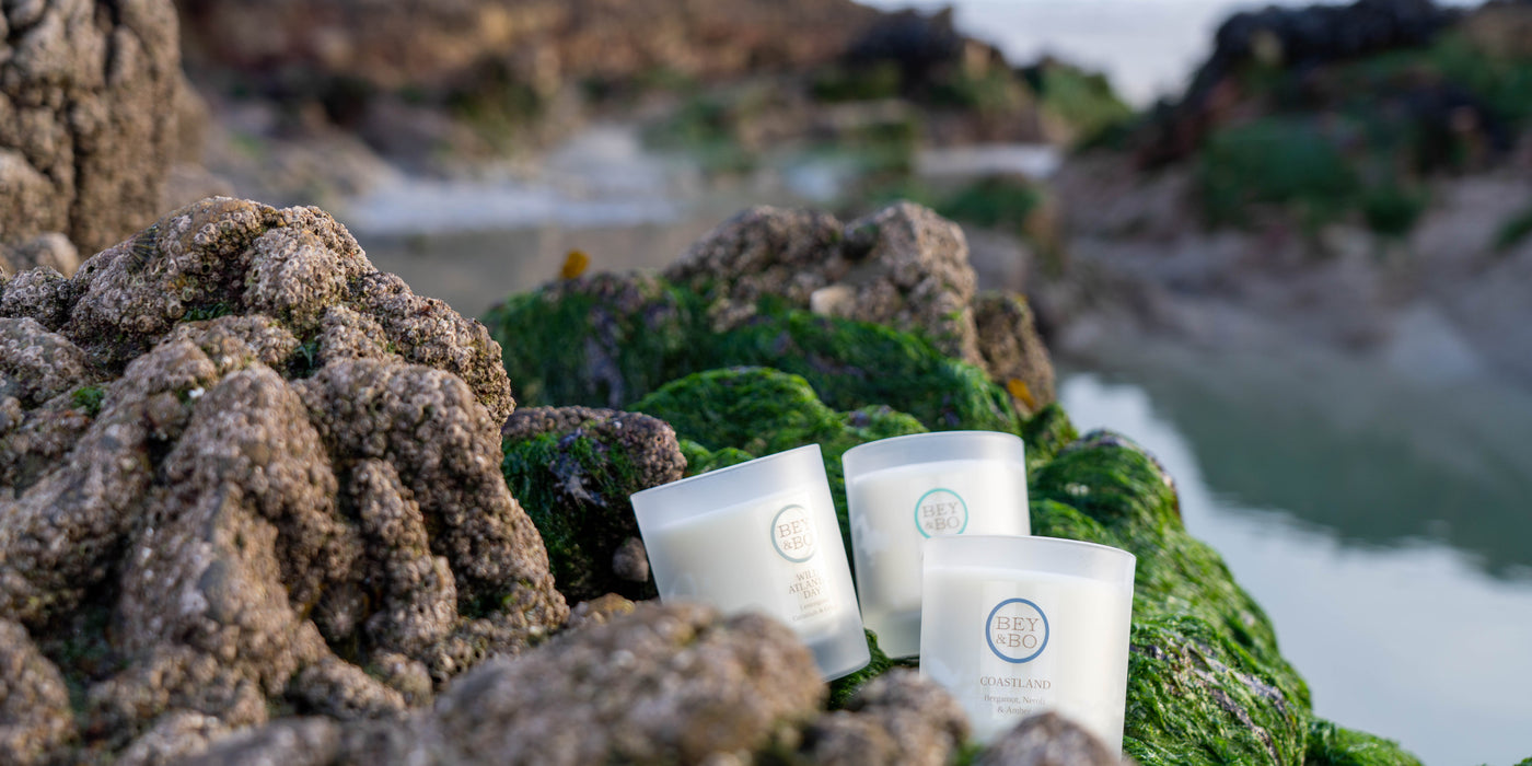 “How do Reed Diffusers work? And, Why Can't I Smell My Reed Diffuser A