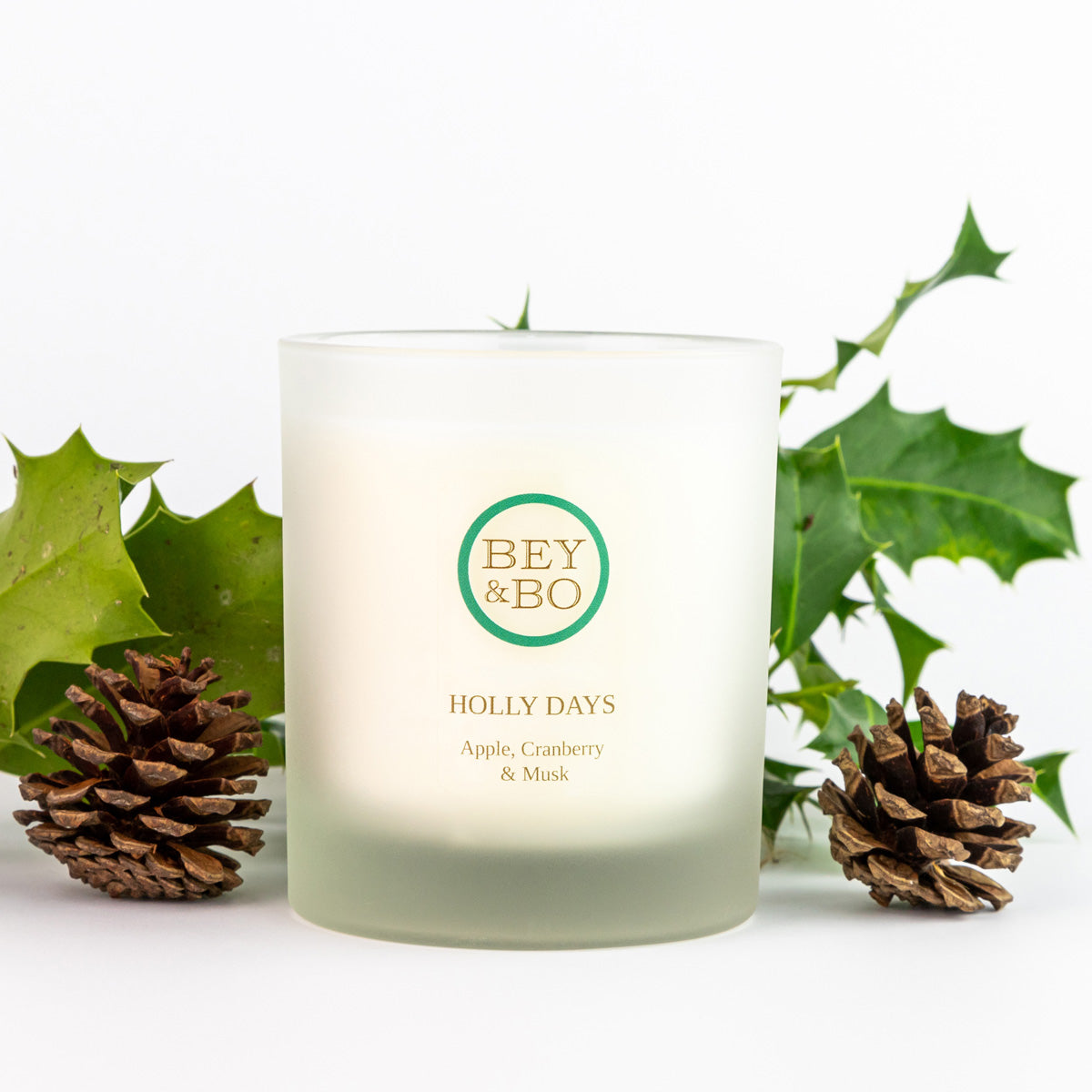 Apple & Cranberry Christmas Candle: Holly Days